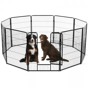 8-Panel Dog Playpen: Indoor & Yard Setup Tips